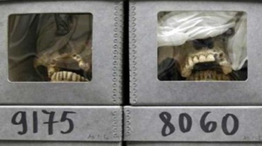 French FM: “Algeria Did Not Send A Formal Request To Retrieve Resistance Leaders' Skulls”