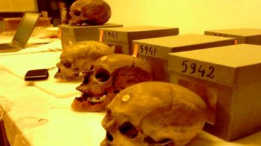Bruno David: “Algerian Martyrs’ Skulls displayed At Paris Museum Of Man Belong to French State”