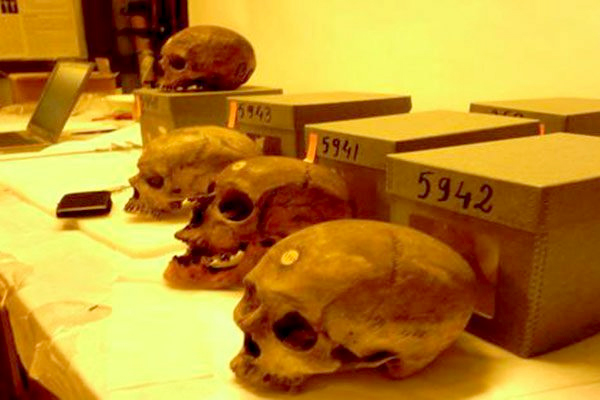 Bruno David: “Algerian Martyrs’ Skulls displayed At Paris Museum Of Man Belong to French State”