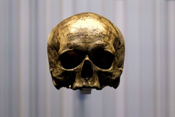 Signatures campaign to recover “forgotten skulls” from France