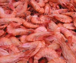 Tourist resort neglected by local investors to become foreign attraction