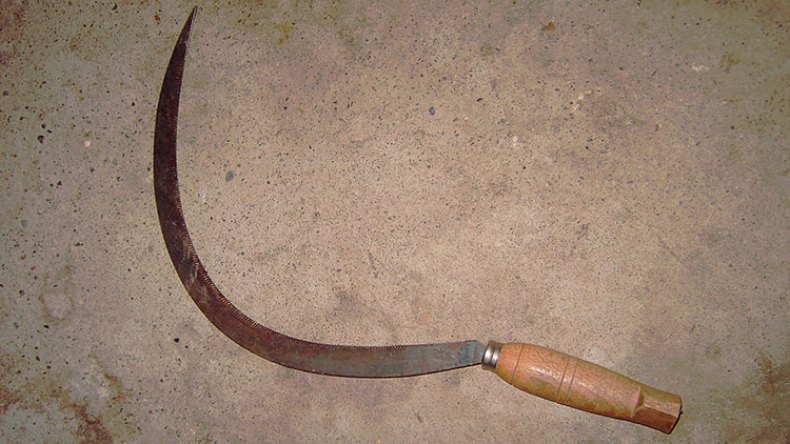 بناء في الوادي يقتل مساعده بمنجل
