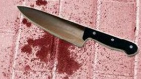 عروس تذبح حماتها وتقطع جسدها وتدّعي أنها أميرة إرهابية