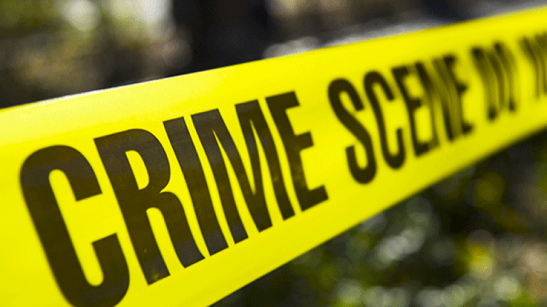 الجريمة والمجرمون