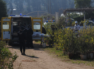 Crime horrible à Staouéli : Il assène sept coups de poignard à son ex-épouse et boit son sang