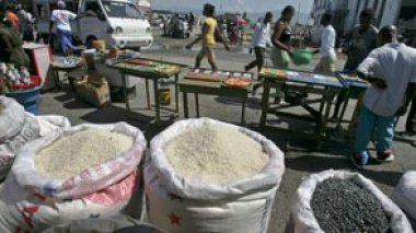 Le président de la Chambre de l'Agriculture à Echorouk: L’Algérie à l'abri de la crise alimentaire