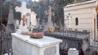 French President Sarkozy and Jews behind evangelization in Algeria, says Doctor