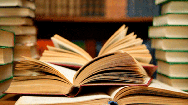 بين الثقافة والإدارة