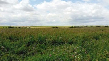 Les terres agricoles non exploitées seront récupérées