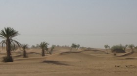 Large-scale military operation carried out in Algerian desert