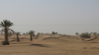 Large-scale military operation carried out in Algerian desert