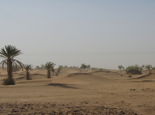 Large-scale military operation carried out in Algerian desert