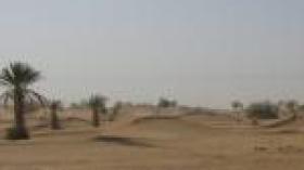 Sahara occidental: l'autonomie est la seule solution du conflit