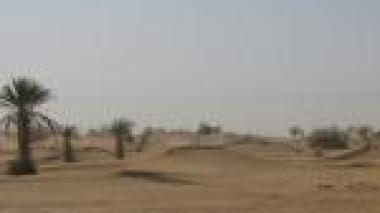 Sahara occidental: l'autonomie est la seule solution du conflit