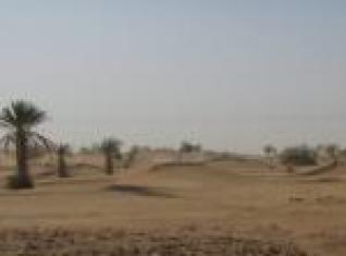 L'autonomie du Sahara occidental entraînerait une contagion