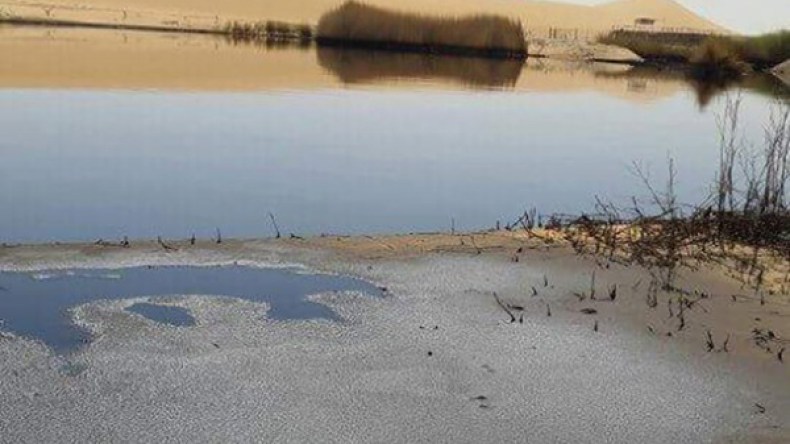 تسربات النفط تهدد سكان حاسي مسعود بكارثة