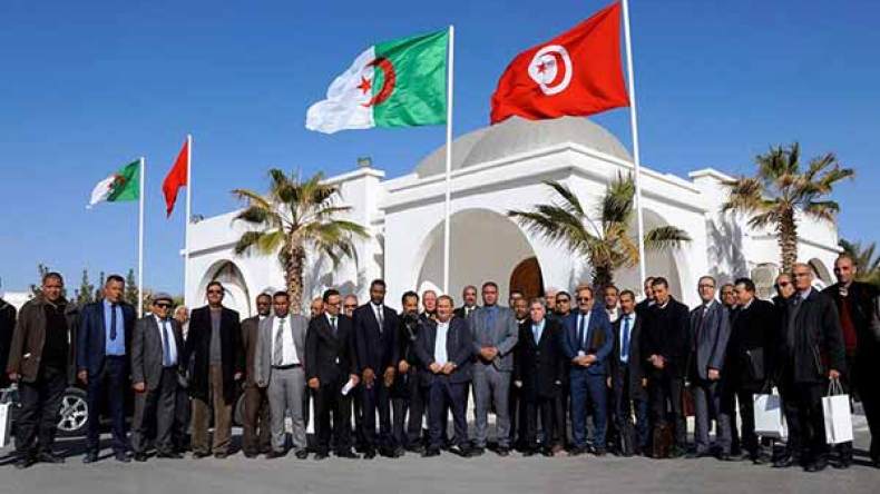 تجسيد بنود اتفاقية توأمة بين ولايتي الوادي وتوزر التونسية