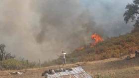 150 حريق تحوّل 1500 هكتار من الغابات إلى رماد وتبيد 15 ألف شجرة مثمرة..!