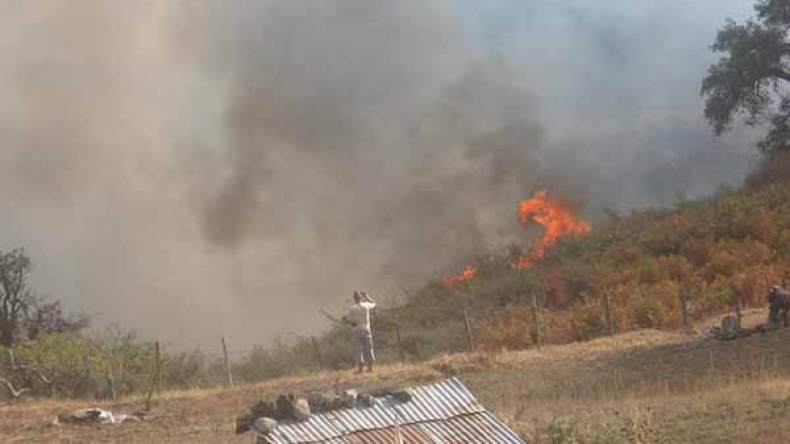 150 حريق تحوّل 1500 هكتار من الغابات إلى رماد وتبيد 15 ألف شجرة مثمرة..!