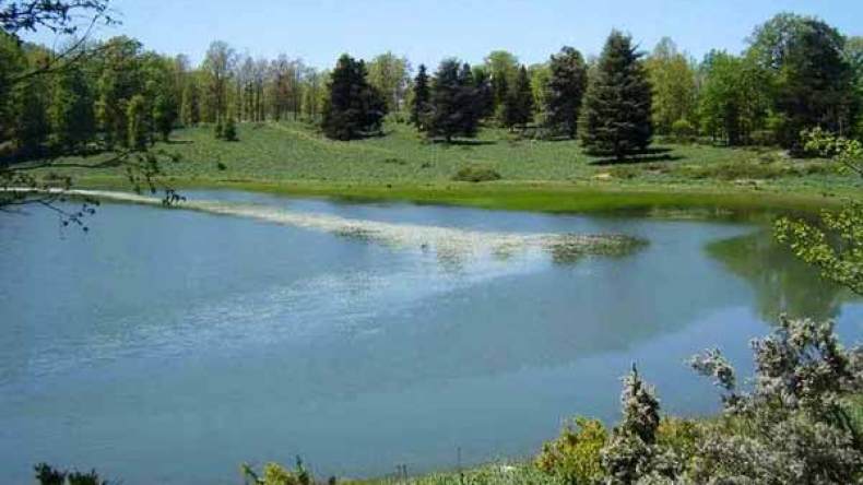 البحيرة السوداء.. جوهرة فريدة وجنة فوق الأرض