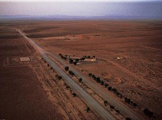 Daewoo wins planning deal in Algeria