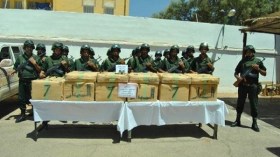 ضبط أزيد من 17 قنطار من الكيف بتلمسان والشلف وبشار
