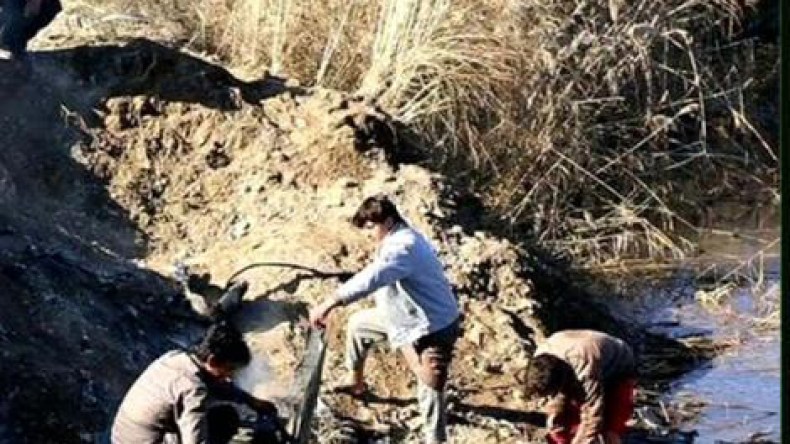 واشنطن تنفي إسقاط داعش للمقاتلة الأردنية