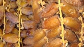 الأمطار أتلفت 60 بالمائة من محصول دڤلة بسكرة