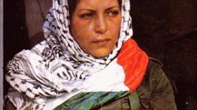 الإعلان عن اختفاء رفات الشهيدة دلال المغربي