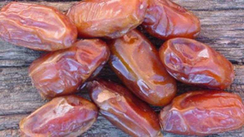 مستثمر يطرح مشروع استغلال التمور كوقود والحكومة ترفض