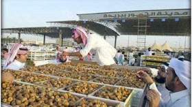 السعودية: انطلاق مهرجان التمور في القصيم