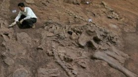 اكتشاف نوع نادر من الديناصورات في تونس