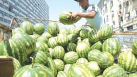 مستوردون أجانب يشترطون شهادة التحاليل خوفا من الكوليرا!