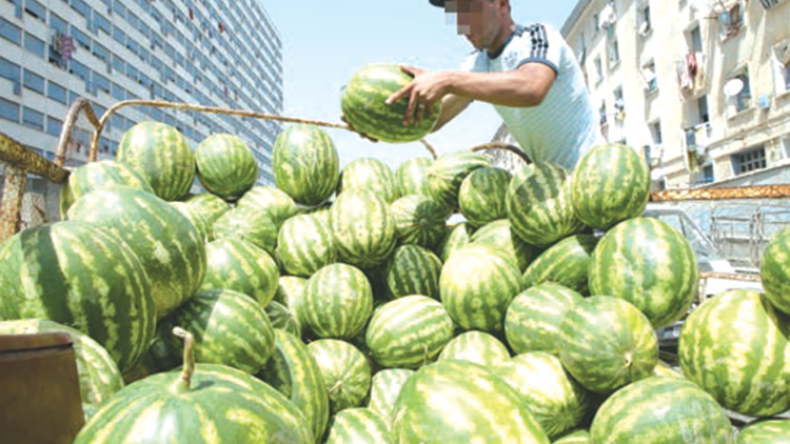 مستوردون أجانب يشترطون شهادة التحاليل خوفا من الكوليرا!