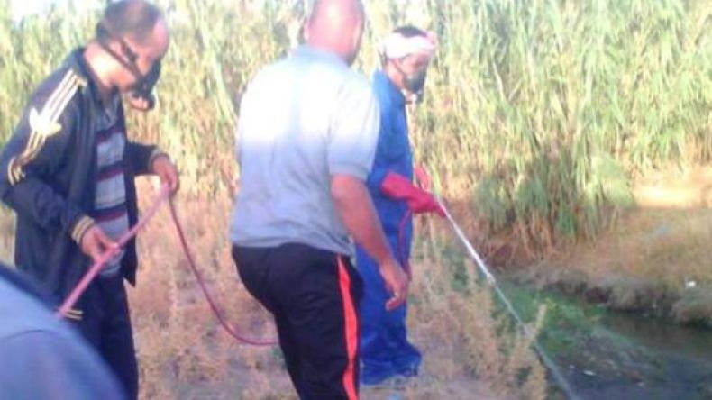 حملة واسعة لمكافحة داء الليشمانيوز بالشريط الحدودي في الوادي