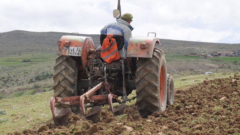 الجفاف مستبعد وتقييم الموسم الفلاحي سابق لأوانه