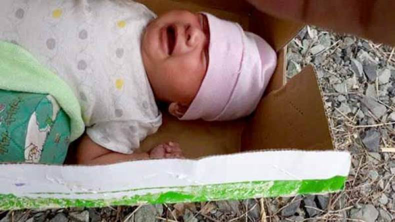 رضع تنهش أجسادهم كلابٌ وجرذان!