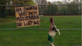 مناصرون ألمان يقتلون خروفا لترهيب الفريق المنافس!؟