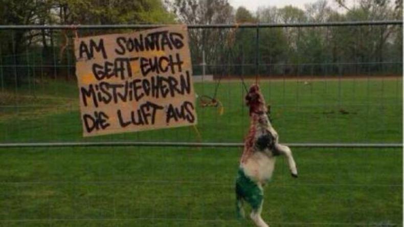 مناصرون ألمان يقتلون خروفا لترهيب الفريق المنافس!؟