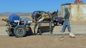 القداشي بالوادي .. القرية المنسية