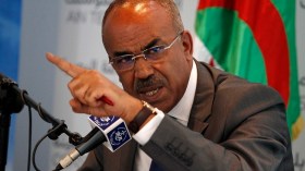 بدوي: سنواصل ترحيل المهاجرين غير الشرعيين إلى بلدانهم