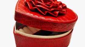 قطع نسوية للمسة دافئة