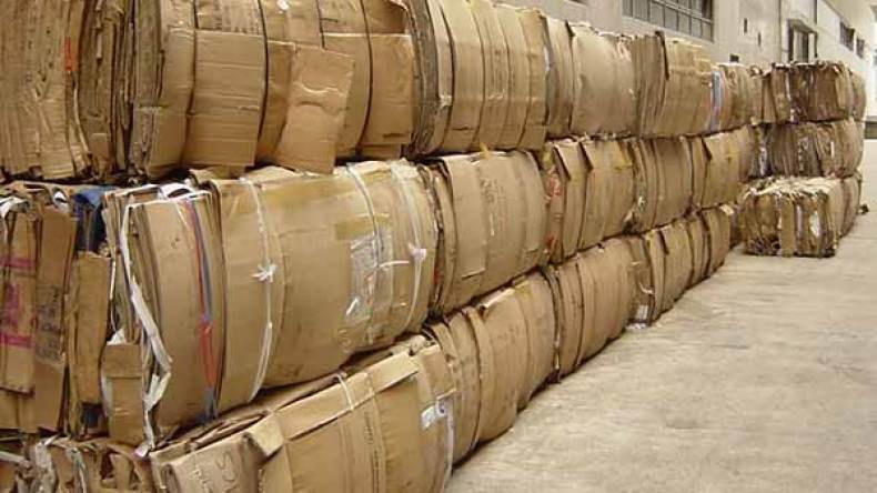 الجزائر تبذر 600 ألف طن من الورق سنويا