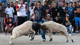 200 جريمة ترتكب يوميا في الجزائر لا تعاقب عليها المحاكم..؟