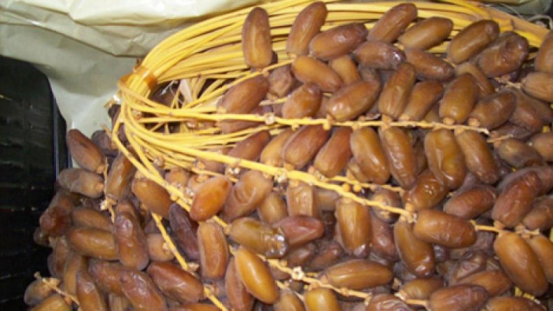 مغاربة ويهودي يسوّقون “دقلة نور” بعلامات غير جزائرية!