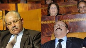 نائب لا يحب الصحافة؟