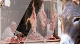 اكتشاف مذبح للحمير داخل ورشة للصينيين في ورقلة