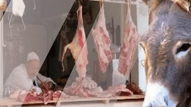 اكتشاف مذبح للحمير داخل ورشة للصينيين في ورقلة