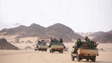 Nine terrorists killed in Algeria