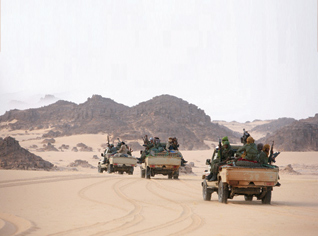 Nine terrorists killed in Algeria